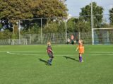 Eerste training S.K.N.W.K. JO11-1jm seizoen 2023-2024 (25/80)